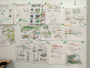 Arbutus Greenay sketches PHOTO 2 Arbutus Greenay sketches PHOTO 2